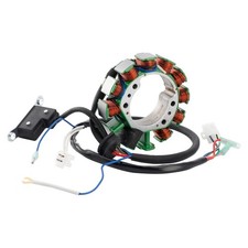Stator Lichtmaschine für